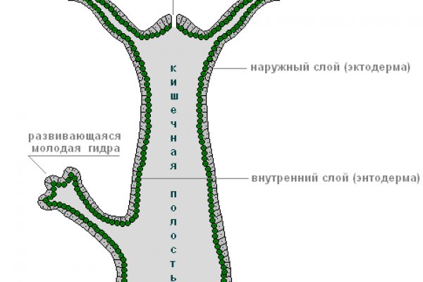 Кракен купить в москве порошок