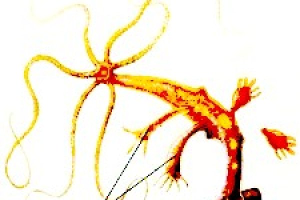 Кракен актуальная ссылка на сегодня