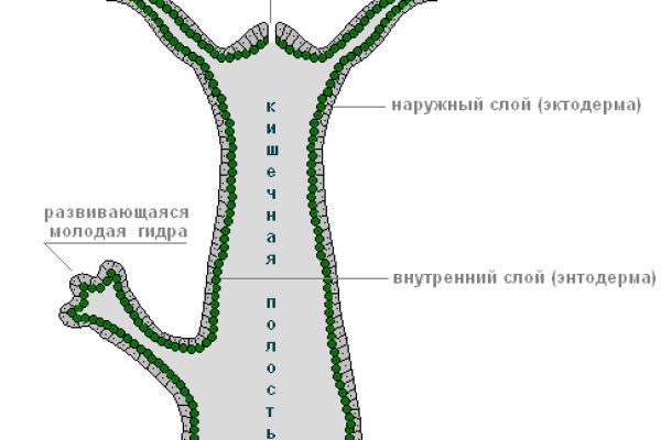 Сайты для даркнета