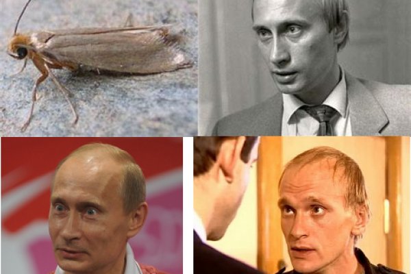 Кракен сайт нарк