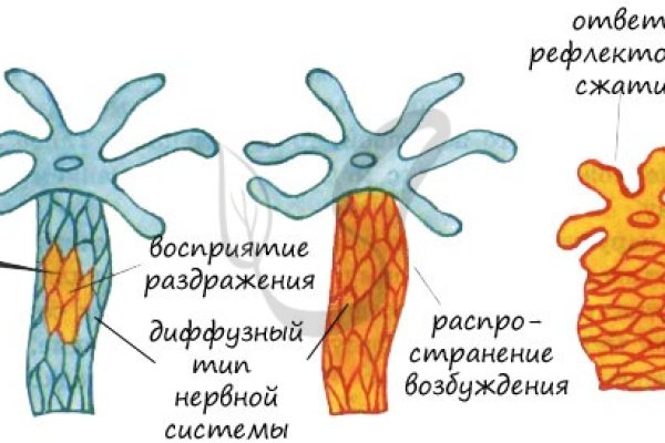 Кракен магазин ссылка