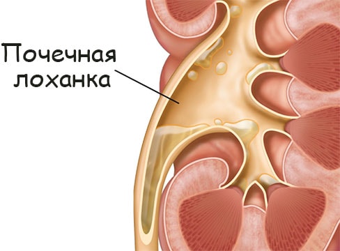 Как попасть на сайт кракен